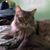 Bee Brown's profile image