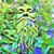 Danforth Jameson Howling's profile image