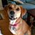 Charmaine Cundiff Carmack's profile image