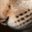 Robyn Miaow's profile image