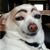 Marie Jameson's profile image