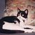 Leslie Litzenberg's profile image