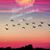 Kathy B. Turner's profile image
