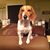 Tracee Peters Brenner's profile image