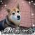 Jane Smith's profile image
