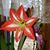 Jenny Erichsen's profile image