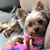 Karen Lullo Catogge's profile image