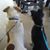 Joanna Pearce Brehm's profile image