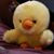 Debi Peterson's profile image