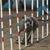 Lynn Koeppen's profile image
