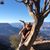 Laura LaFleur Johnson's profile image