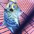 Edwin Sagun's profile image