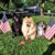 Kathy Harris's profile image