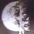Mike Burress's profile image