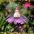 Christy Hudson's profile image