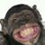 Mike Shaw's profile image