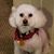 Maribel Suarez's profile image