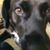 Patricia Bolton's profile image