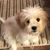 Lane Jones Hughes's profile image