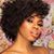 Bria Larine's profile image