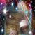 Diane Anderson's profile image
