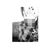 Alexandra Arau's profile image