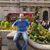 Federico Pablo Vacalebre's profile image