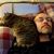 Steven Plante's profile image