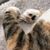Donna Brooks Bailey's profile image