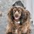 Lisa Letterman's profile image