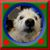 Victoria Vicky Hickson's profile image