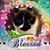 Melinda Wilhelm Adams's profile image