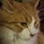 Sammy-Jeanne Fuller-Habert's profile image