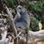 Jennifer Munro-Golliher's profile image