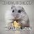 Lisa Brown's profile image