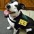 Heidi Humrickhouse's profile image