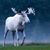 Tha Moose's profile image