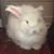 Yvonne Richards Boykin's profile image