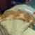 Sharon Wilkins's profile image