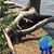 Doreen Leishman Marvin's profile image