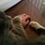 Beth Goetz's profile image