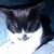 Janet Blakeslee's profile image