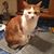 Janet Macphee's profile image