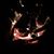 Christine Few Cresswell's profile image