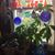 Joyce Freeman Hendlowitch's profile image
