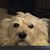Teresa Brown Reschke's profile image