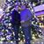 Cary Noffsinger-Loiacono's profile image