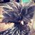 Candi Mcgrew Whitman's profile image