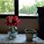Yolanda Zamora Reed's profile image
