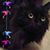 Kurt Buterbaugh's profile image